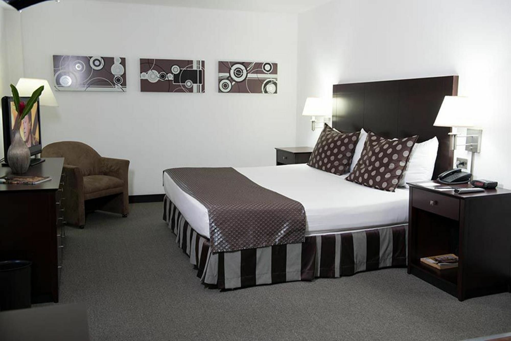 Guaparo Suites Valencia Extérieur photo